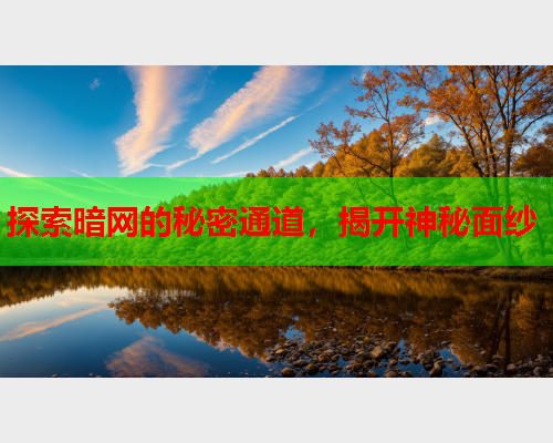 探索暗网的秘密通道，揭开神秘面纱  第2张
