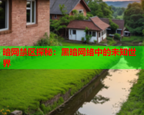 暗网禁区探秘：黑暗网络中的未知世界  第2张