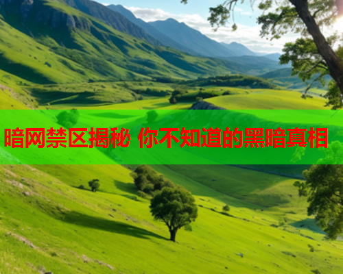暗网禁区揭秘 你不知道的黑暗真相  第1张