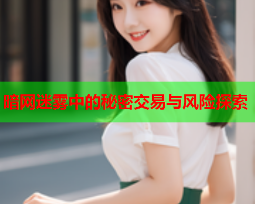 暗网迷雾中的秘密交易与风险探索  第1张