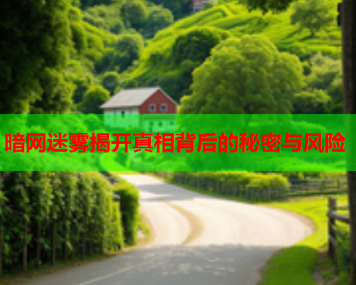 暗网迷雾揭开真相背后的秘密与风险 第1张 暗网迷雾揭开真相背后的秘密与风险 第1张