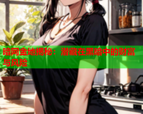 暗网金地揭秘：潜藏在黑暗中的财富与风险  第1张