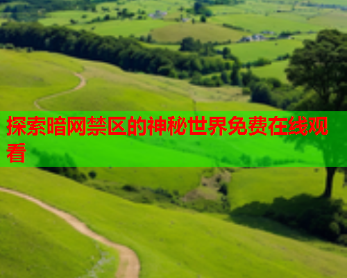 探索暗网禁区的神秘世界免费在线观看  第1张