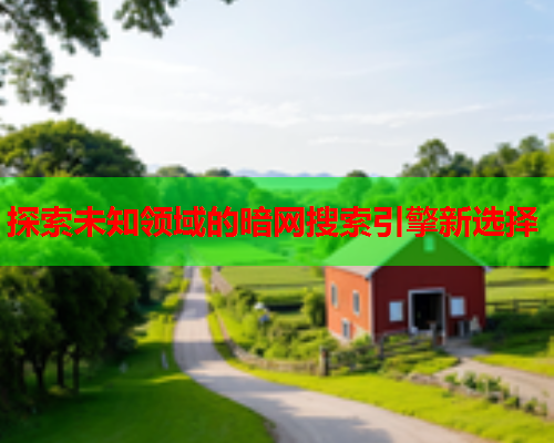 探索未知领域的暗网搜索引擎新选择  第2张