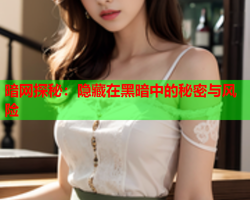 暗网探秘：隐藏在黑暗中的秘密与风险  第1张