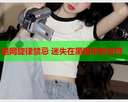 暗网旋律禁忌 迷失在黑暗中的音符  第1张