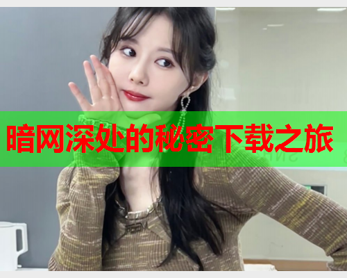暗网深处的秘密下载之旅  第2张