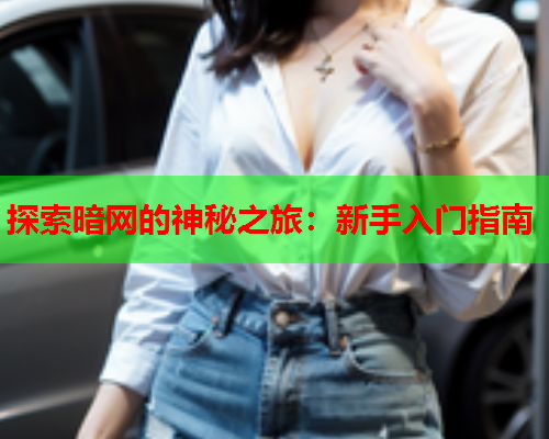 探索暗网的神秘之旅：新手入门指南  第1张