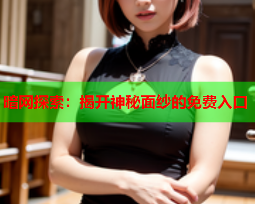 暗网探索：揭开神秘面纱的免费入口  第2张