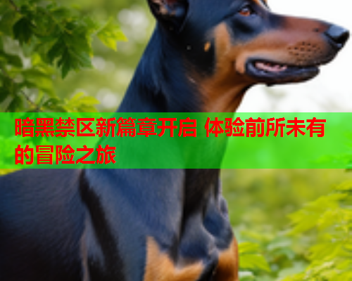 暗黑禁区新篇章开启 体验前所未有的冒险之旅  第1张