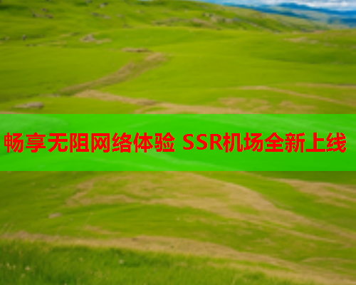 畅享无阻网络体验 SSR机场全新上线  第2张