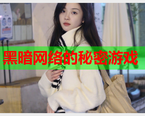 黑暗网络的秘密游戏  第1张