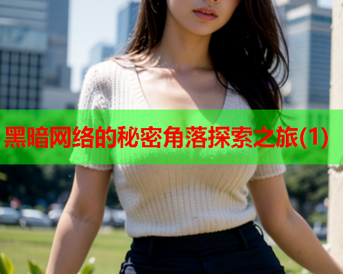 黑暗网络的秘密角落探索之旅(1)  第1张