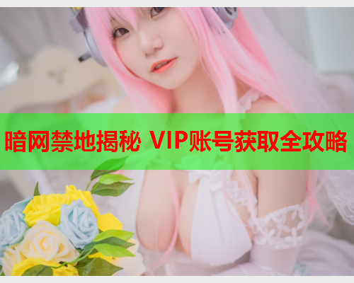 暗网禁地揭秘 VIP账号获取全攻略  第1张