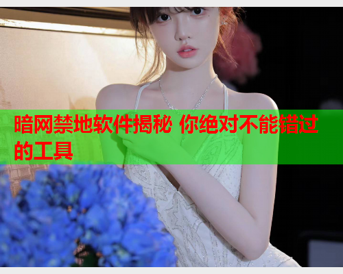 暗网禁地软件揭秘 你绝对不能错过的工具  第1张