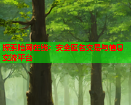 探索暗网在线：安全匿名交易与信息交流平台  第1张