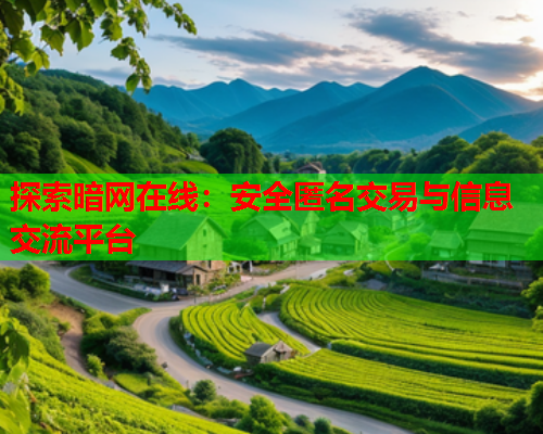 探索暗网在线：安全匿名交易与信息交流平台  第2张