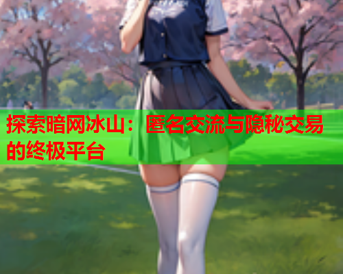 探索暗网冰山：匿名交流与隐秘交易的终极平台  第1张