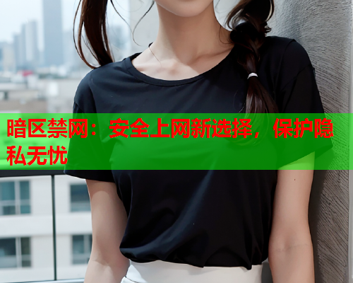 暗区禁网：安全上网新选择，保护隐私无忧  第1张