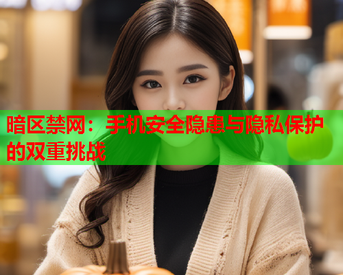暗区禁网：手机安全隐患与隐私保护的双重挑战  第1张