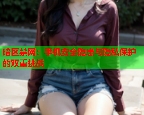 暗区禁网：手机安全隐患与隐私保护的双重挑战  第2张
