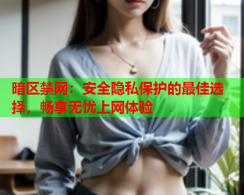 暗区禁网：安全隐私保护的最佳选择，畅享无忧上网体验  第2张