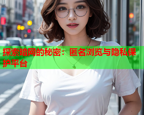探索暗网的秘密：匿名浏览与隐私保护平台  第1张