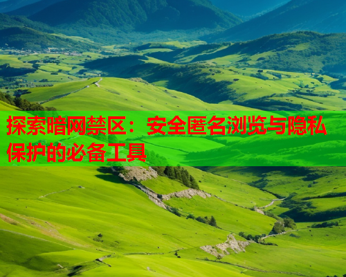 探索暗网禁区：安全匿名浏览与隐私保护的必备工具  第2张
