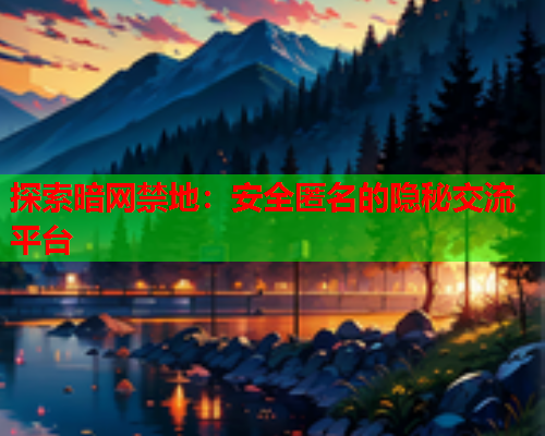 探索暗网禁地：安全匿名的隐秘交流平台  第1张