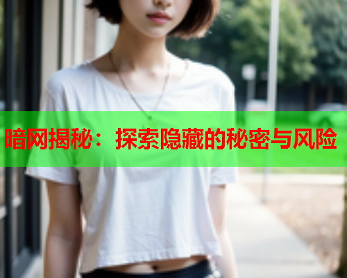 暗网揭秘：探索隐藏的秘密与风险  第1张