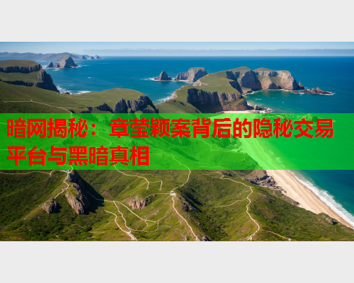暗网揭秘：章莹颖案背后的隐秘交易平台与黑暗真相  第1张
