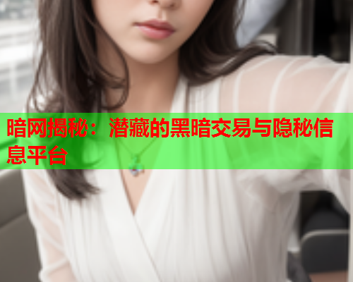 暗网揭秘：潜藏的黑暗交易与隐秘信息平台  第1张