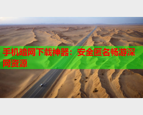 手机暗网下载神器：安全匿名畅游深网资源  第2张