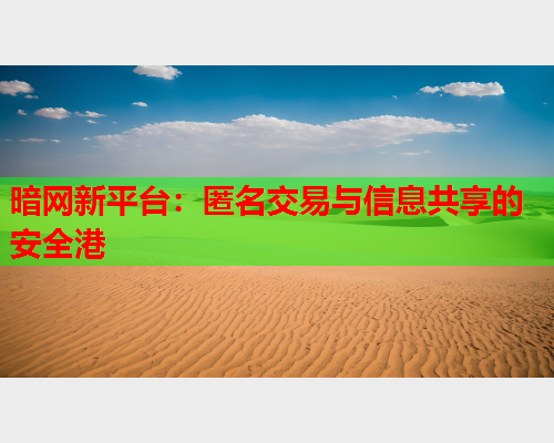 暗网新平台：匿名交易与信息共享的安全港  第2张