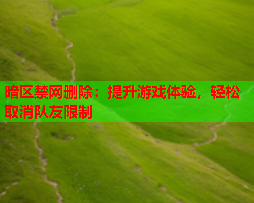 暗区禁网删除：提升游戏体验，轻松取消队友限制  第1张