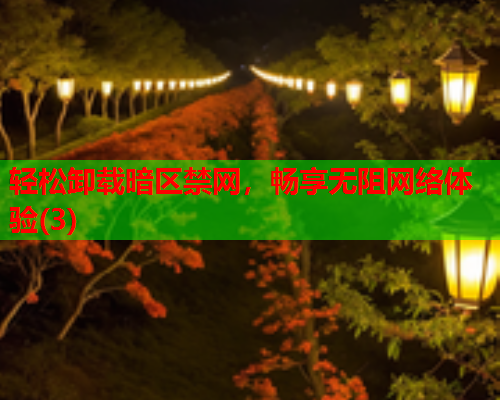 轻松卸载暗区禁网，畅享无阻网络体验(3)  第1张